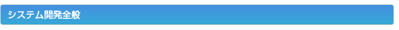 システム開発全般